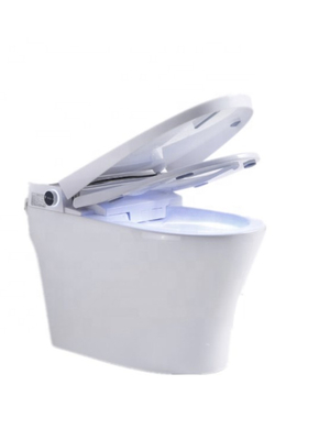 Japanese Smart Toilet Bowl Watermark White Bidet Control 40KG